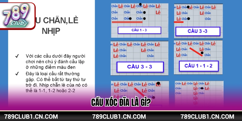 Định nghĩa các nhịp cầu trong xóc đĩa