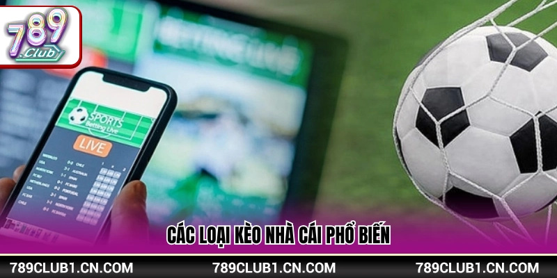 Những hình thức cược thông dụng nhất